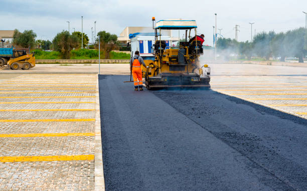 Trusted Palm Valley, FL Driveway Pavers Experts