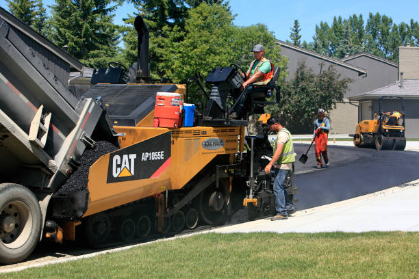 Best Commercial Driveway Pavers  in Palm Valley, FL